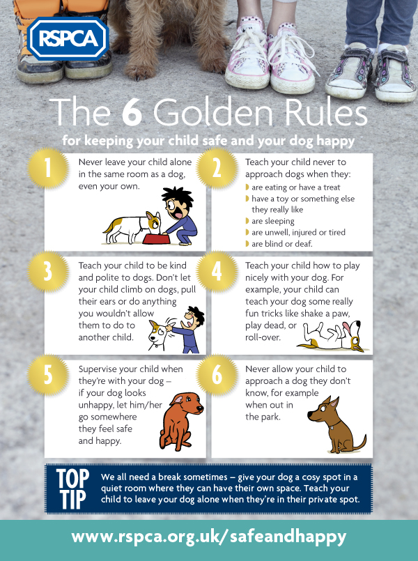 RSPCA dogs and children infographic